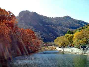 澳门期期准免费精准，空气锤价格